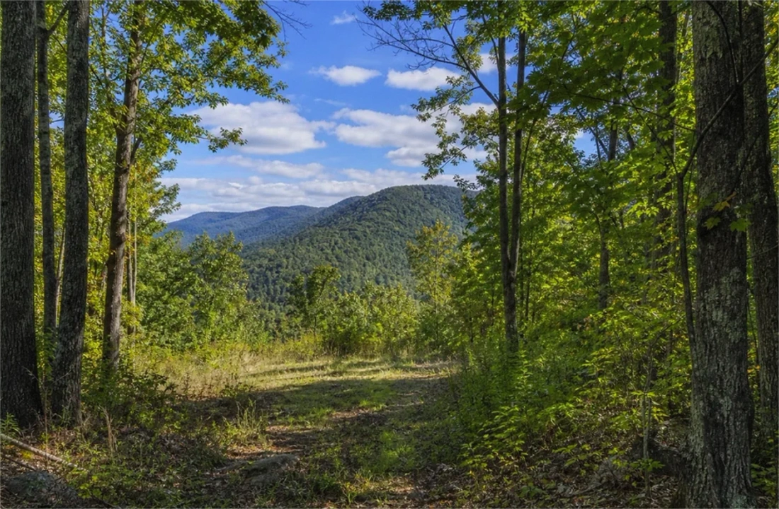Michigan land offer review for How to Sell Inherited Land in Michigan